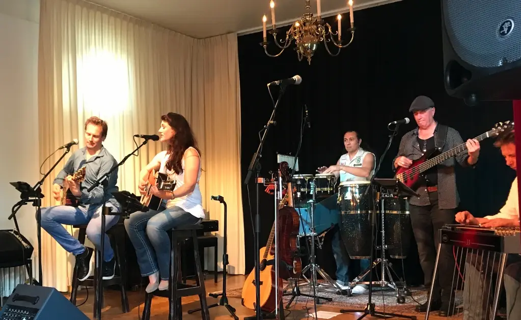 Fireflies in Nashville, albumpresentatie